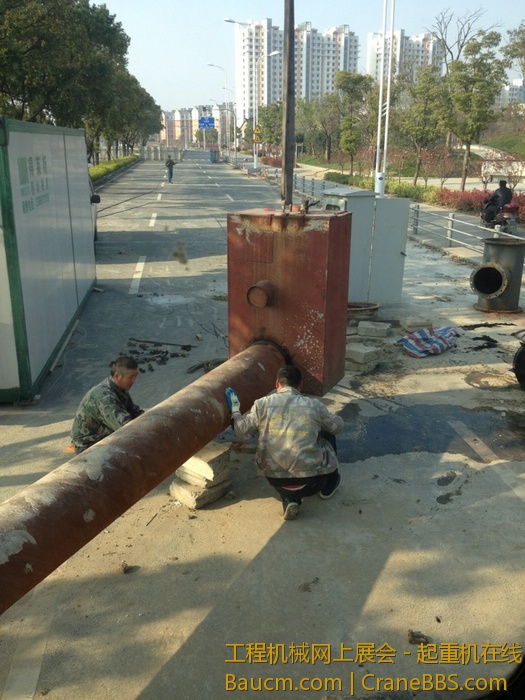 nEO_IMG_毛毛 517.jpg