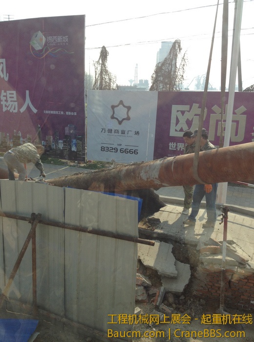 nEO_IMG_毛毛 522.jpg