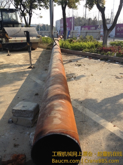 nEO_IMG_毛毛 519.jpg