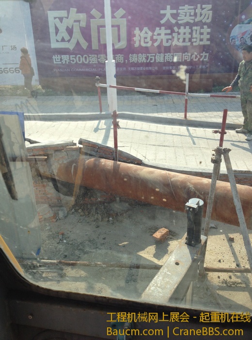 nEO_IMG_毛毛 520.jpg