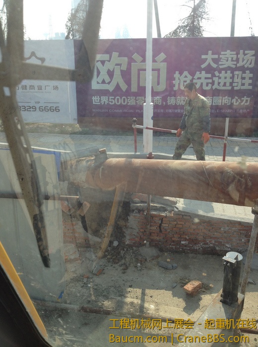 nEO_IMG_毛毛 521.jpg