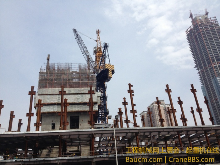 nEO_IMG_毛毛 548.jpg