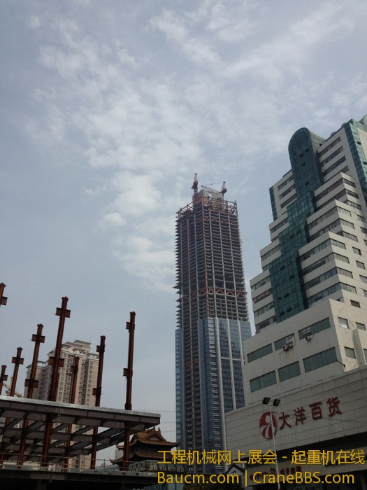 nEO_IMG_毛毛 549.jpg