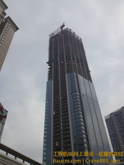 nEO_IMG_毛毛 551.jpg