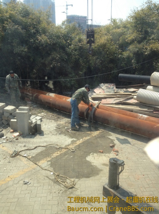 nEO_IMG_毛毛 530.jpg