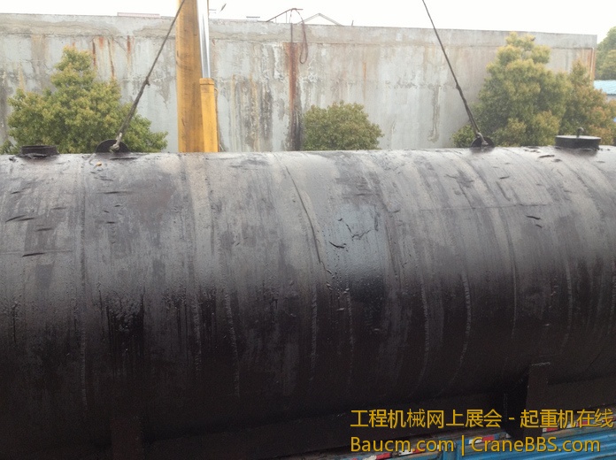 nEO_IMG_毛毛 542.jpg