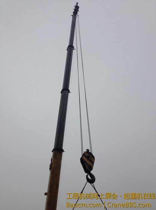 nEO_IMG_毛毛 544.jpg