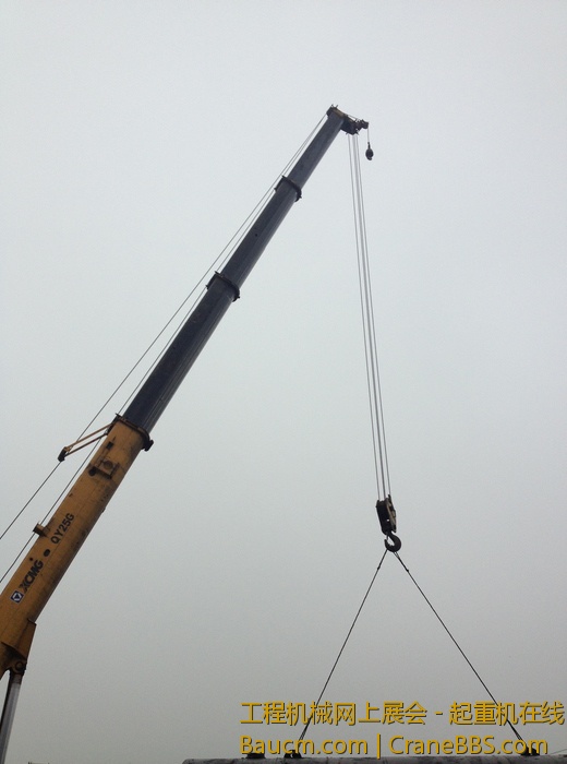 nEO_IMG_毛毛 550.jpg