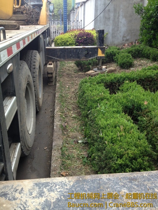 nEO_IMG_毛毛 562.jpg