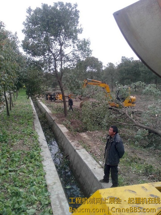 nEO_IMG_毛毛 425.jpg