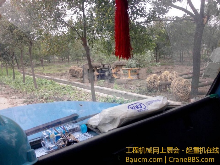 nEO_IMG_毛毛 429.jpg