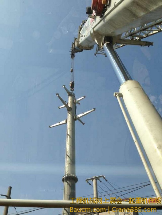 nEO_IMG_毛毛 453.jpg