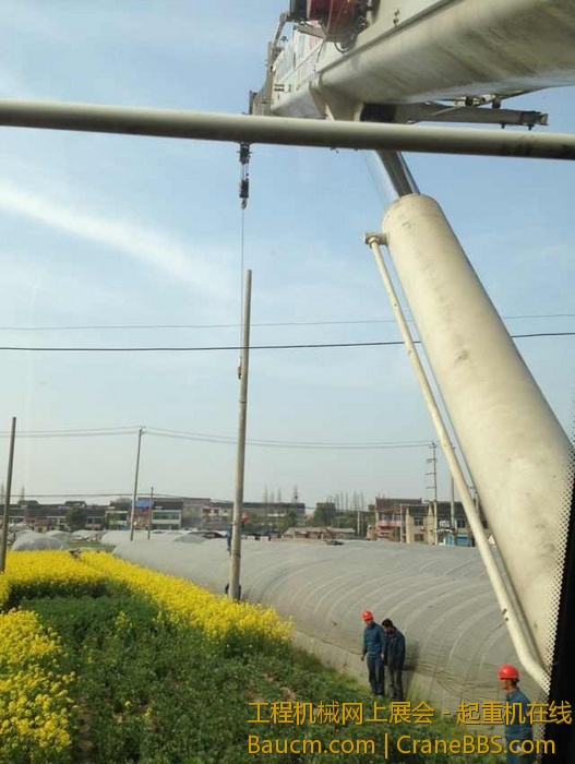 nEO_IMG_毛毛 458.jpg