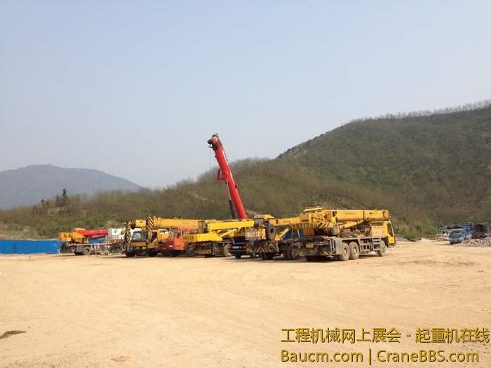 nEO_IMG_毛毛 486.jpg