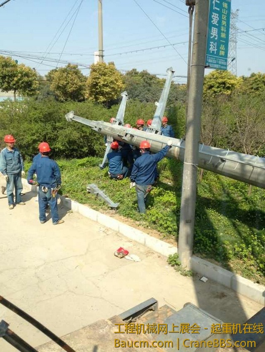 nEO_IMG_毛毛 454.jpg