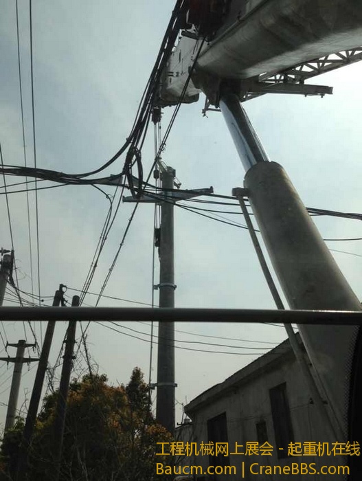 nEO_IMG_毛毛 455.jpg