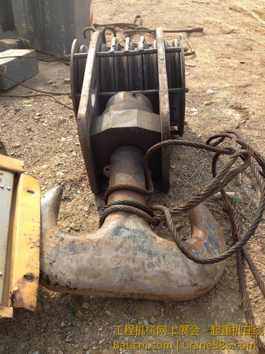 nEO_IMG_毛毛 491.jpg