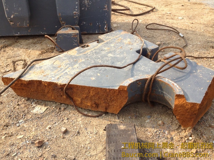 nEO_IMG_毛毛 494.jpg