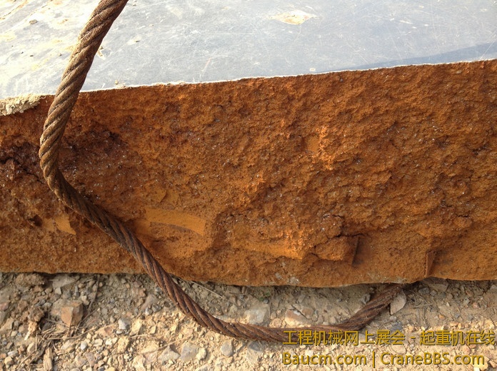 nEO_IMG_毛毛 495.jpg