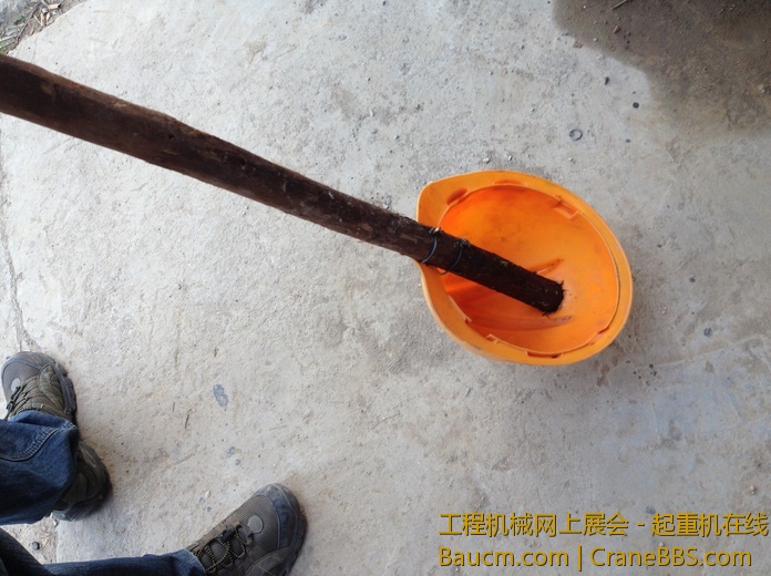 nEO_IMG_毛毛 496.jpg