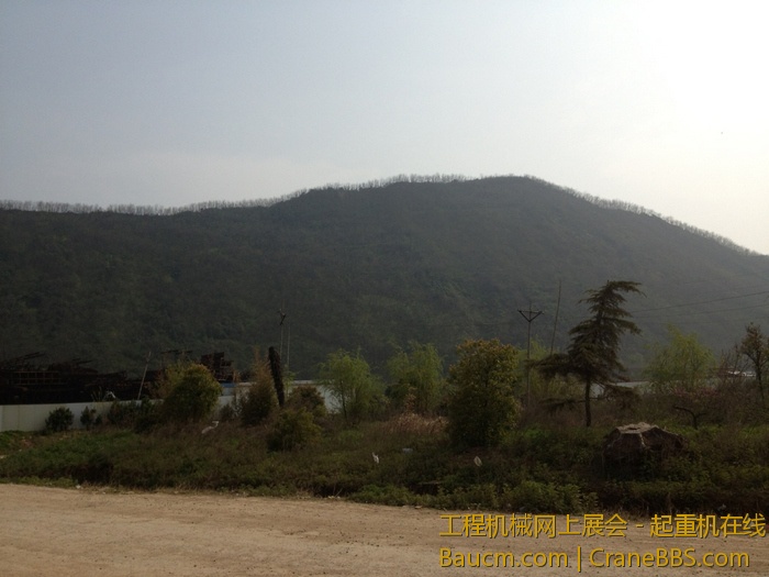 nEO_IMG_毛毛 487.jpg