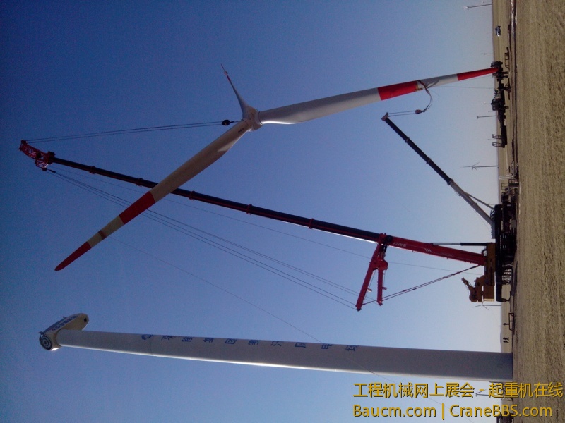 IMG_20130411_080426.jpg