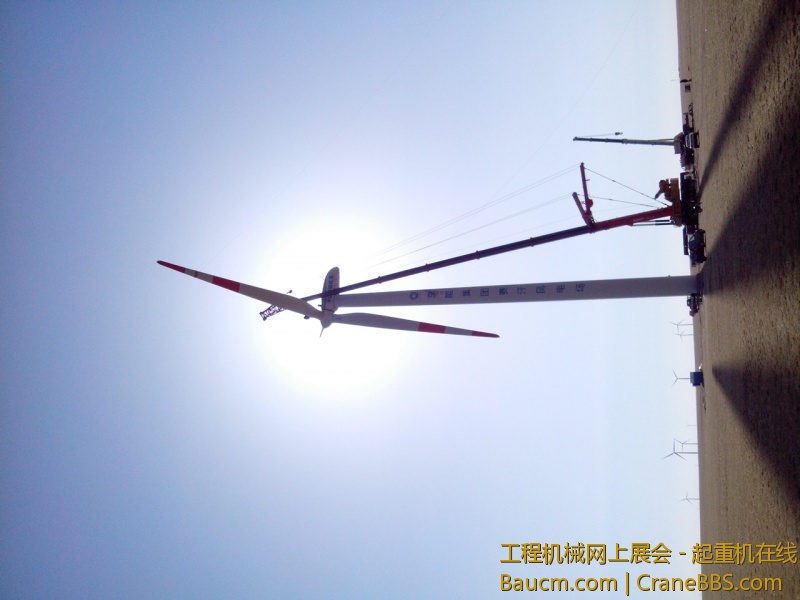 太阳下的光辉
