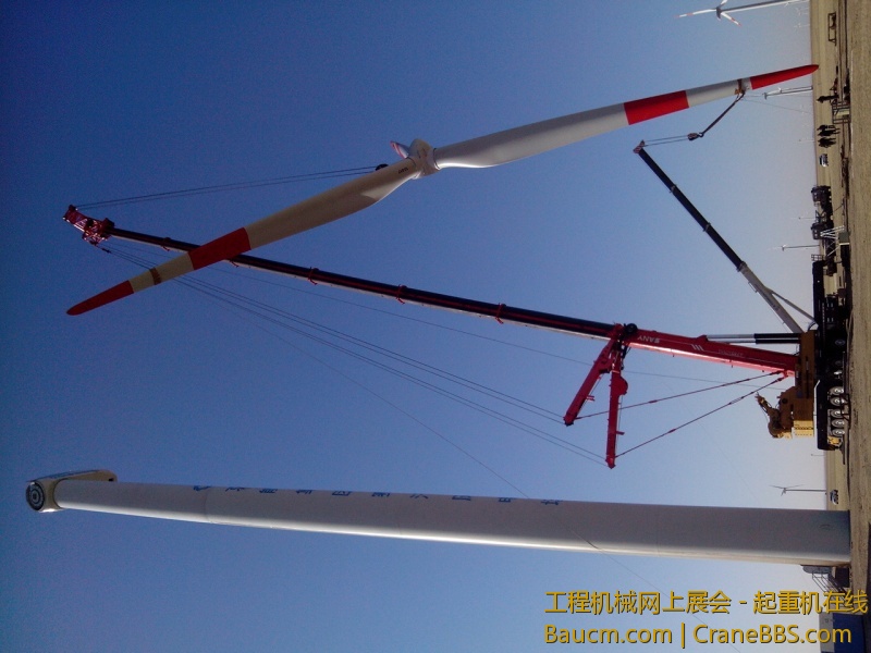 IMG_20130411_080502.jpg