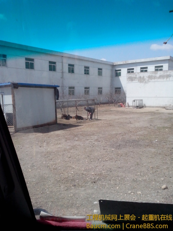 IMG_20130418_111904.jpg