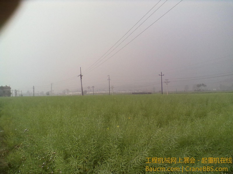 照片ma99 028.jpg