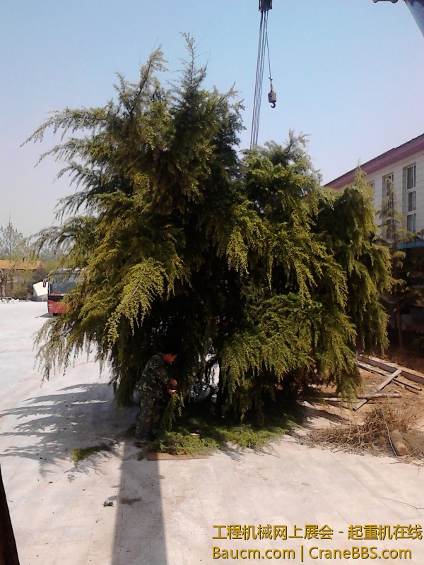 IMG_20130424_115300.jpg