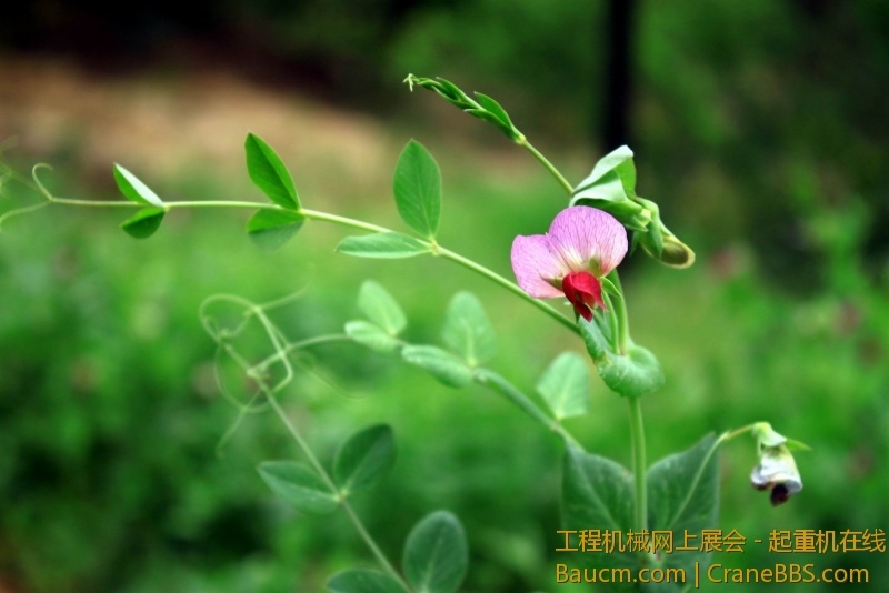 调整大小 IMG_0611.JPG