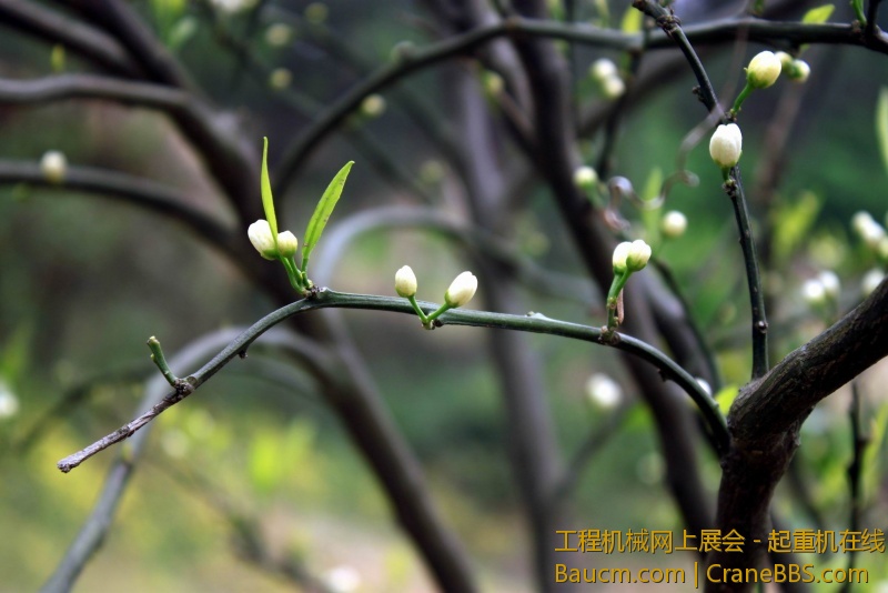 调整大小 IMG_0634.JPG