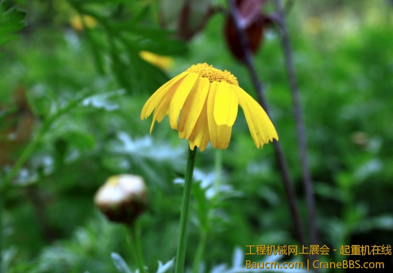 调整大小 IMG_0656.JPG