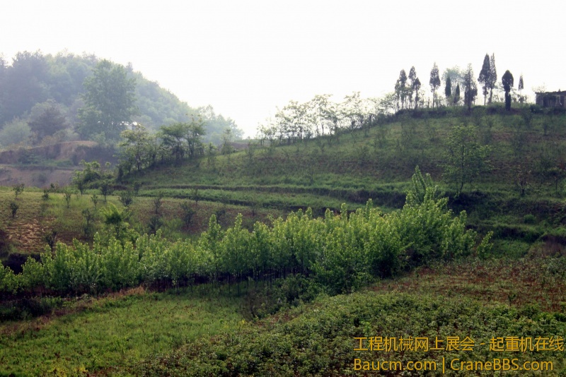 调整大小 IMG_0667.JPG