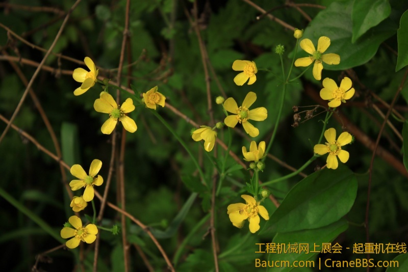 调整大小 IMG_0680.JPG