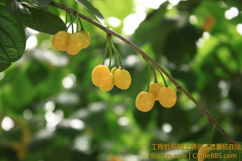 调整大小 IMG_0688.JPG