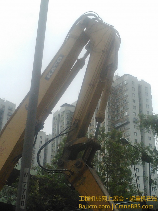 IMG425.jpg