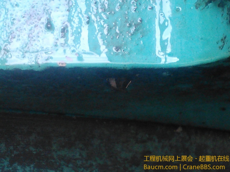 IMG448.jpg