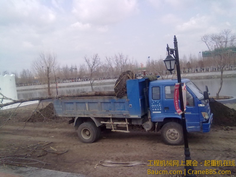 20130425039.jpg