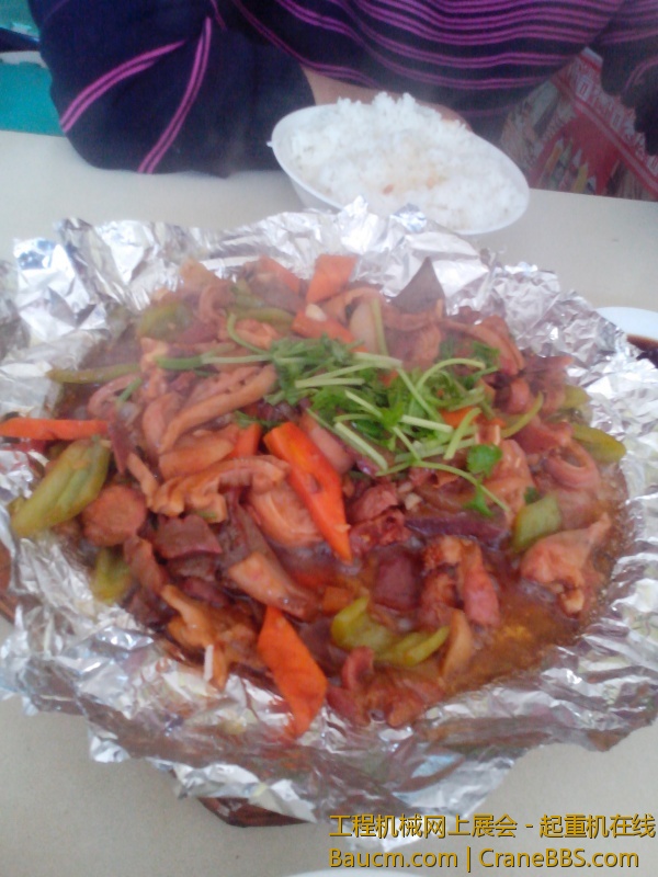IMG_20130427_120509.jpg