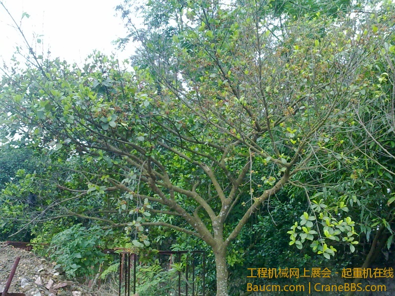 201304271402.jpg