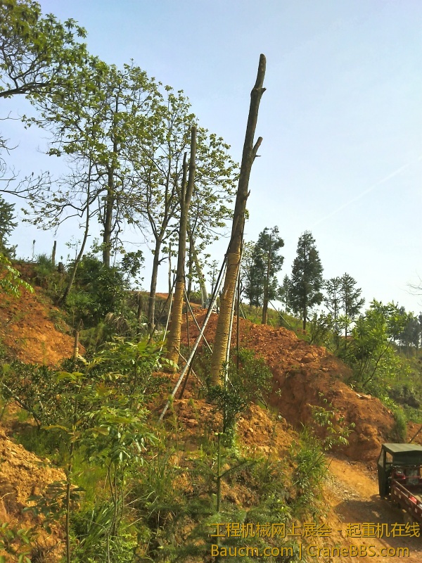 YP20130426094825.jpg