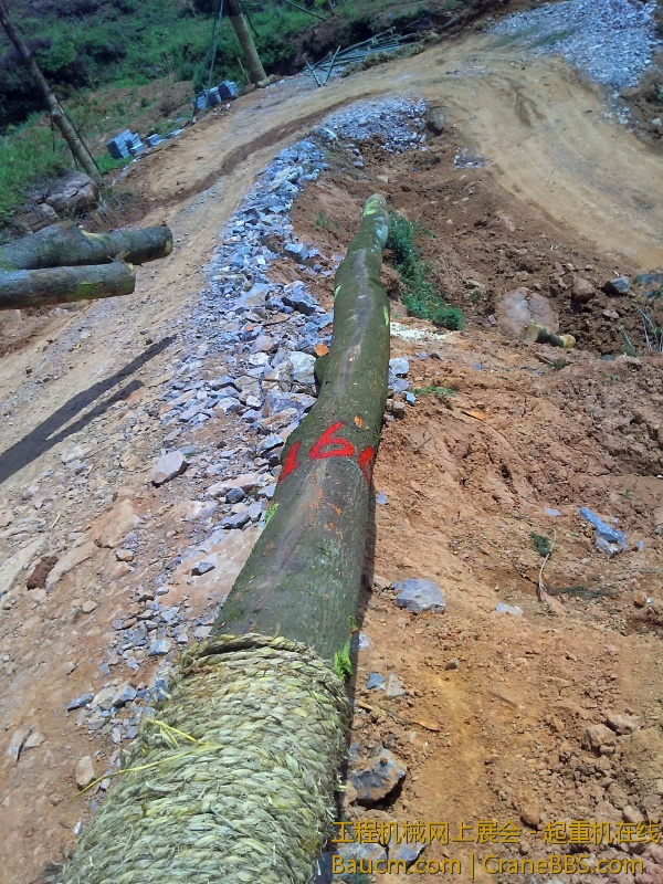 YP20130426112650.jpg