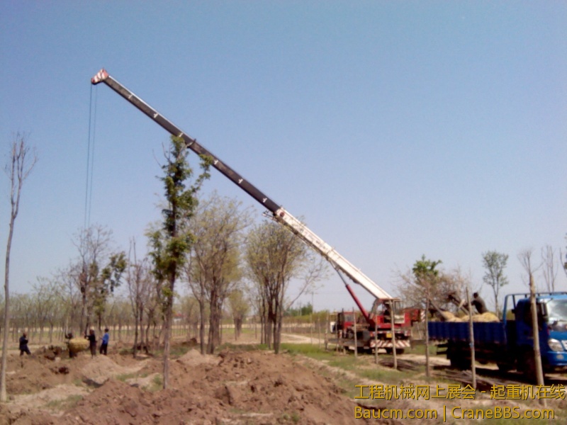 16c种树1200一台班三倍率慢慢干