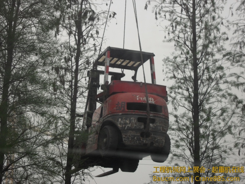 SDC10686.JPG