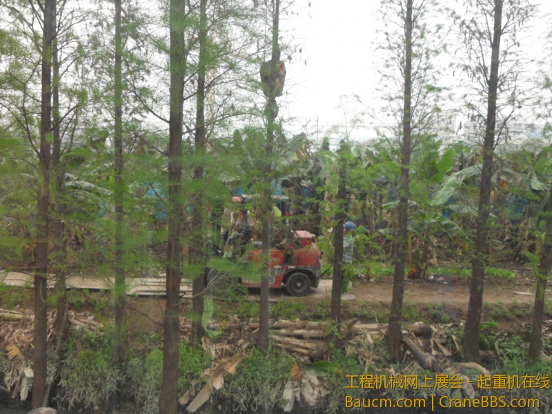 SDC10687.JPG