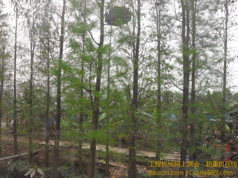 SDC10691.JPG