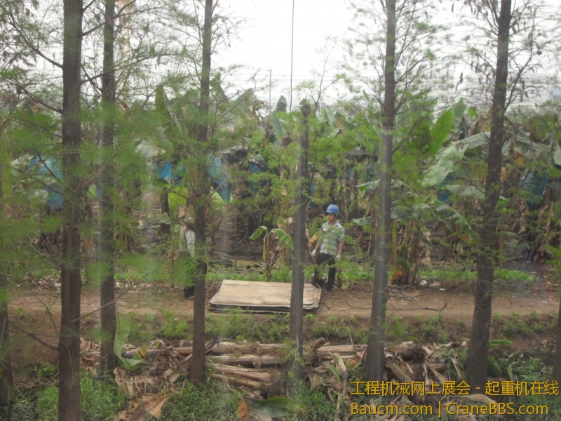 SDC10682.JPG