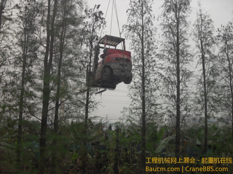 SDC10685.JPG